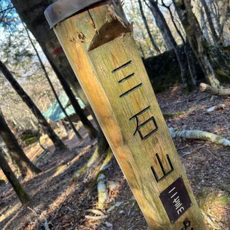 山頂着いた、眺望はないです