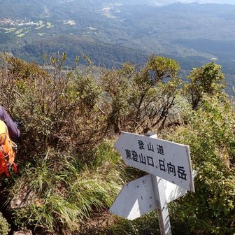 東峰から少しお鉢を戻ると、日向岳への分岐があり、ここから下ります