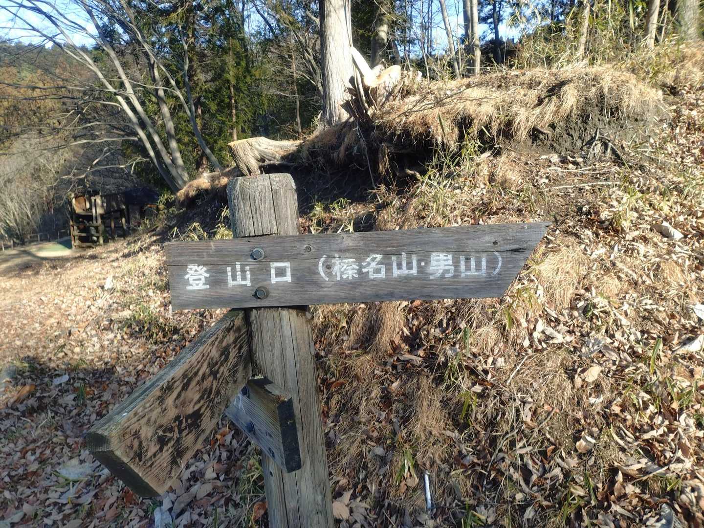リハビリ、頑張ります