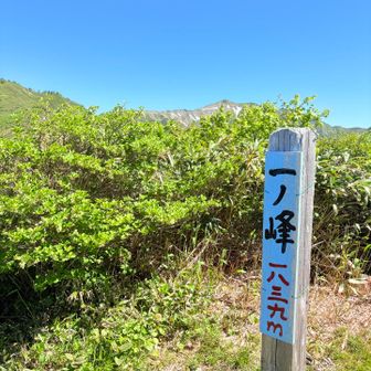 そこそこしんどかったー
一ノ峰