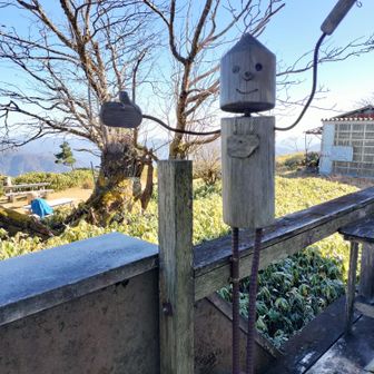 きころんにご挨拶

君、足が凄い長いな。