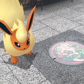 野生のなんとか