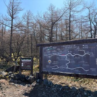 ここからスタートです🚶‍♀️