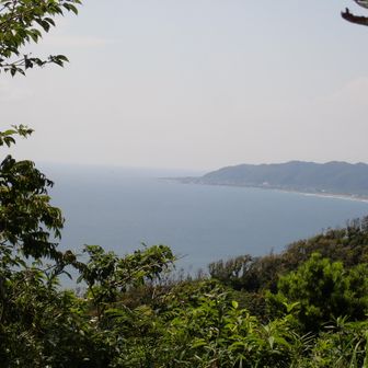 展望台からはどこもこんな眺め