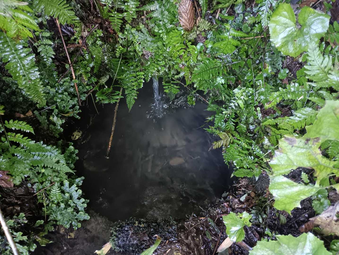 湧き水
ここは流れてるので飲めます
カップもありました