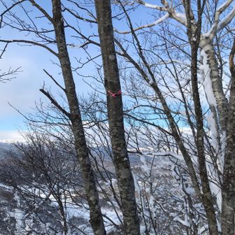 山頂はピンテのみ