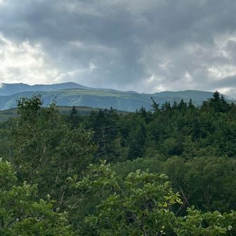 薬師岳山頂が見えて、あこそまで登ったのか！と
感慨深いです。