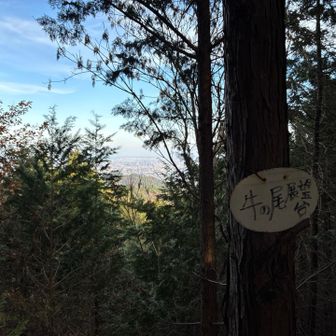 牛の尾展望台