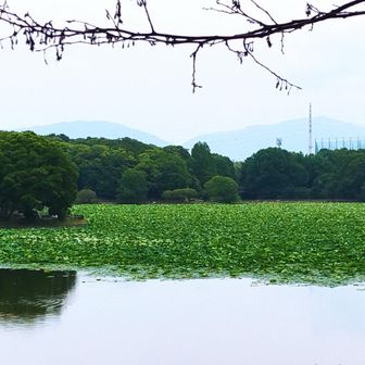 グリーンな景色に吸い込まれ・・・💚（今日もダイトレ望む！）