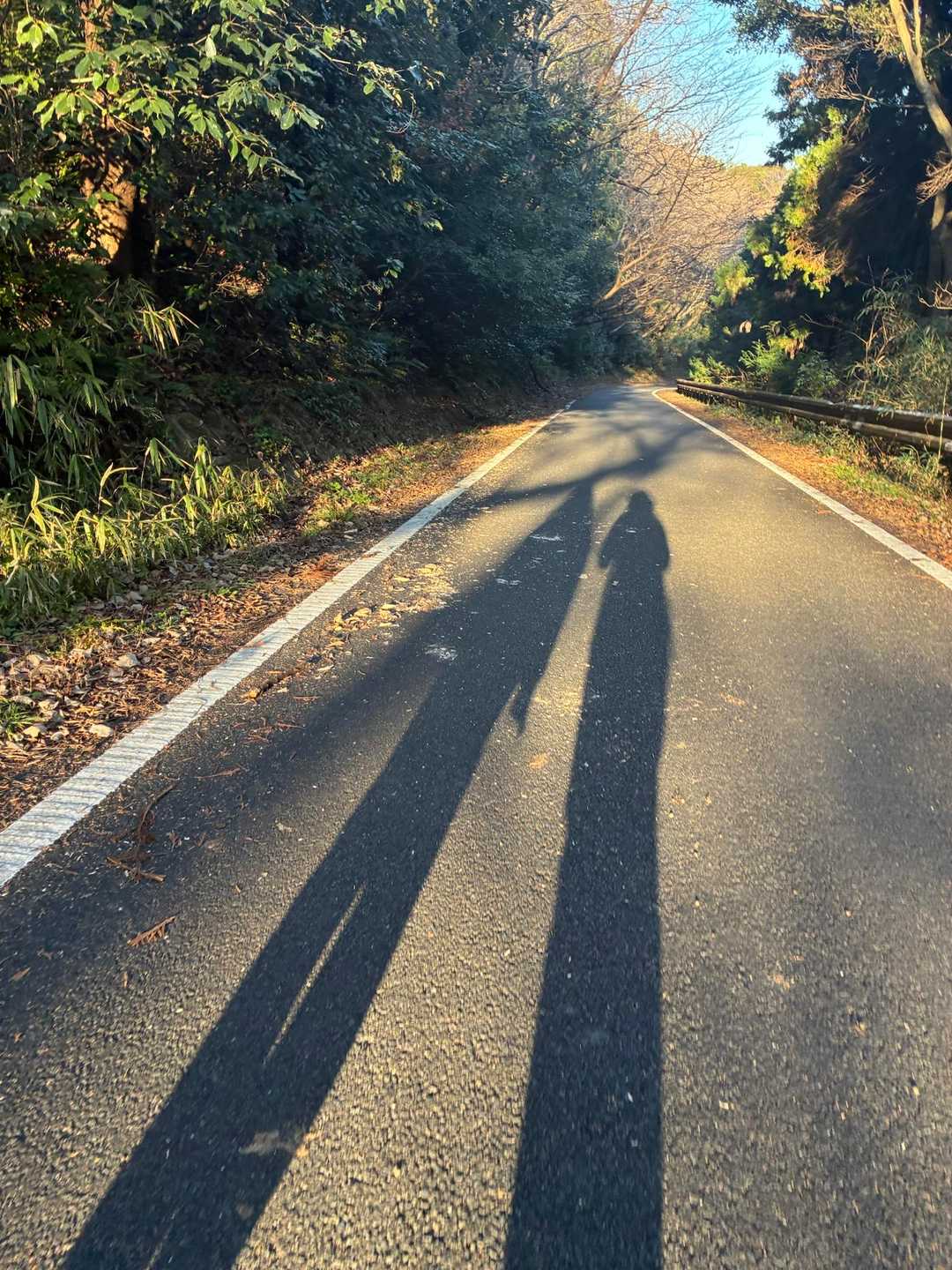 ありがとうネ
