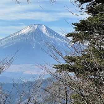 峰宮跡展望台からの富士山