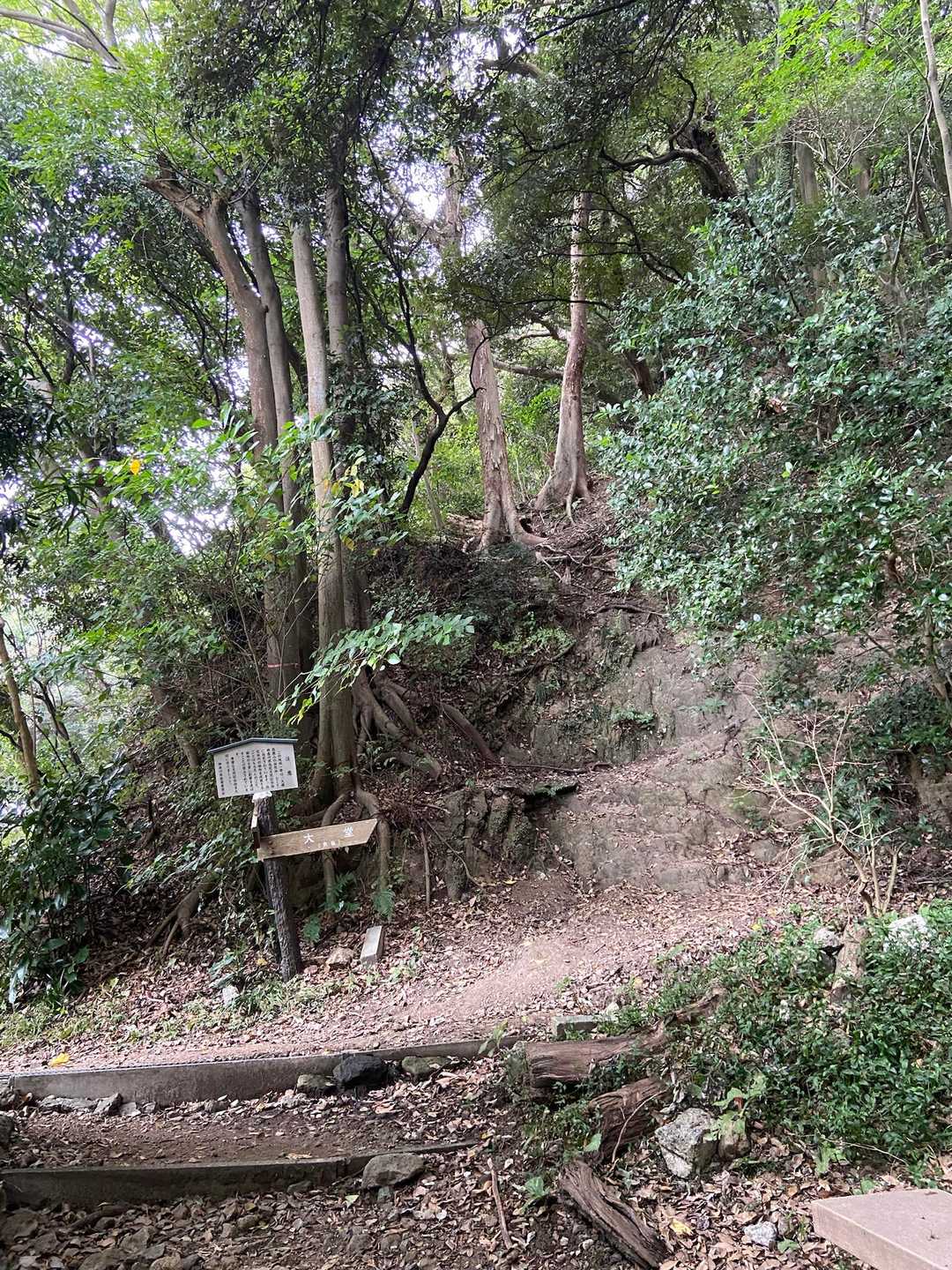 男坂登ります