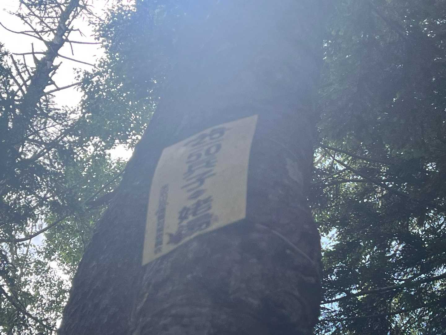 20/50の標識に愕然とする🫨
