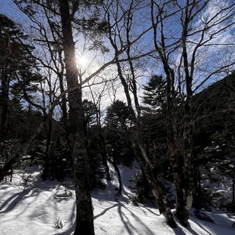 狼平は、このルートでとても好きなところ