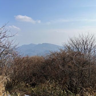 登ってる途中、一瞬荒船かと思いましたがそんなことはなく、鼻高山でした👃