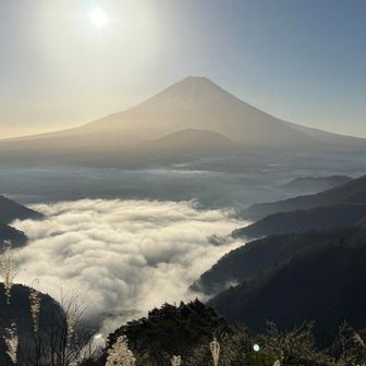 精進湖が雲海に
