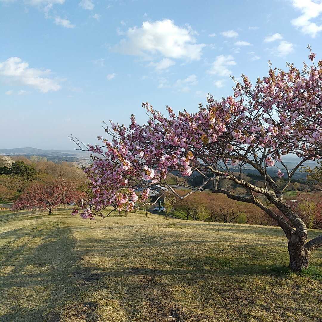 加護坊山の写真