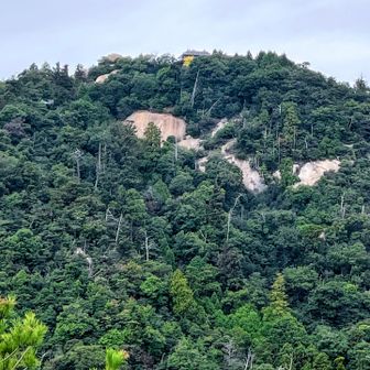 『弥山』はあの上
夫..当然のように下りのゴンドラ乗り場へ向かいます🚡