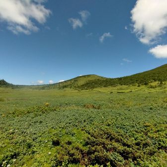 この辺りを酸ヶ平って言うのかしら。平らだし。素敵。