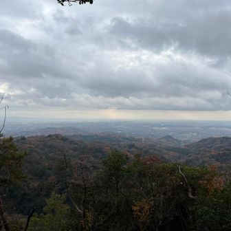 今夜は寒波襲来？🥶
