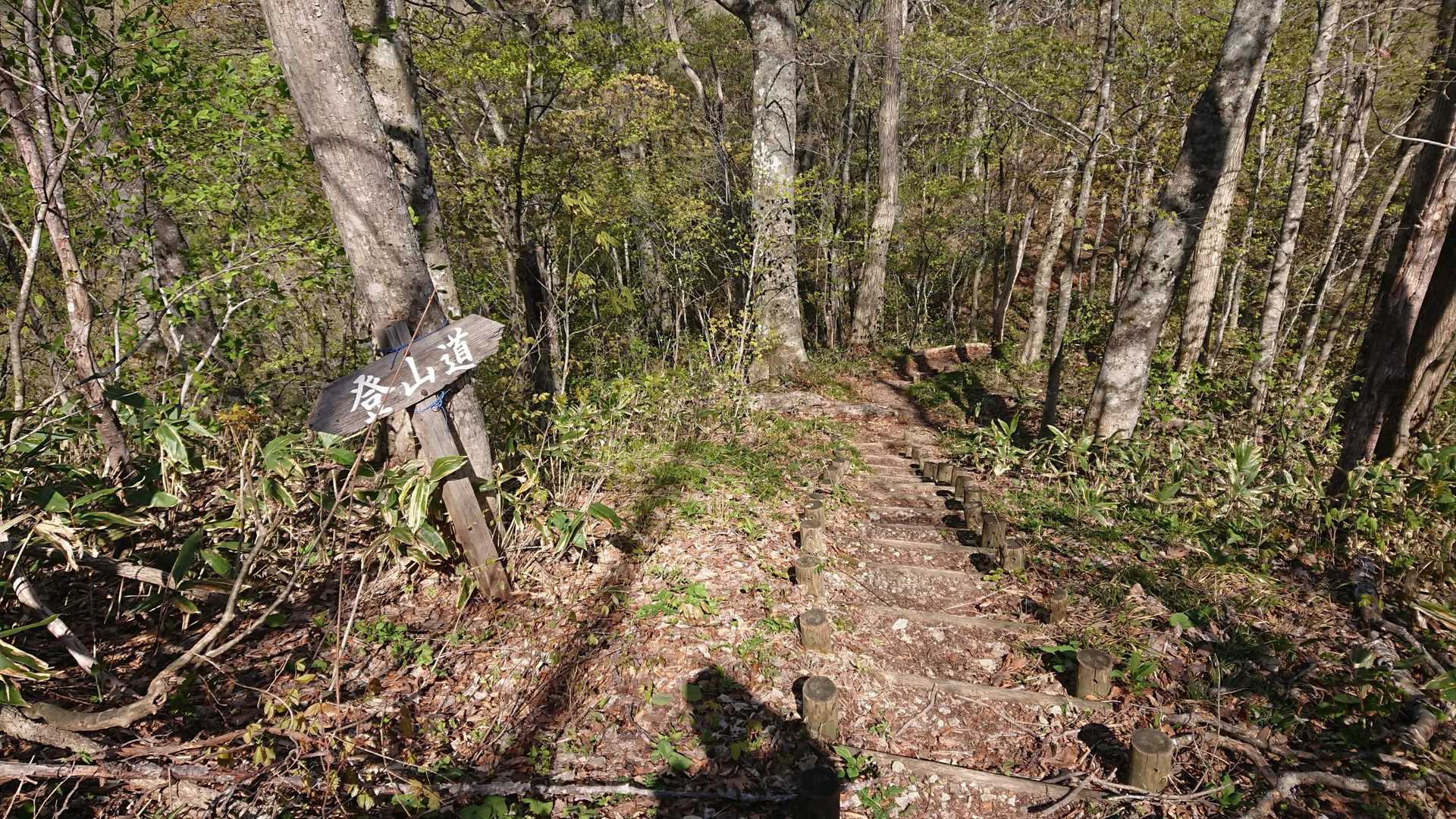 こんなに階段あったかなぁ？
登山口と山頂しか覚えてない山あるある😅