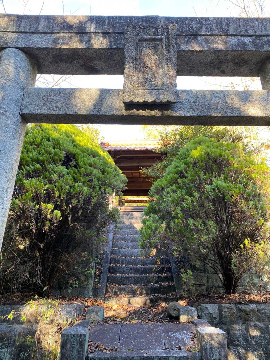 鹿🦌さんおった❗️😱