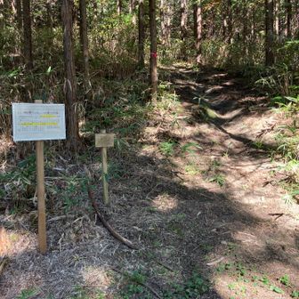 登山口