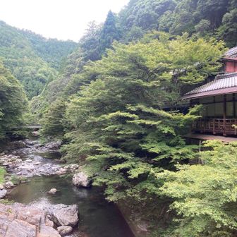 清滝着。

「ほととぎす 嵯峨へは一里 京へ三里 水の清滝 夜の明けやすき」

静寂な自然と清らかな清滝川の流れ、夜明けの早さを情緒豊かに表現した与謝野晶子の短歌。

この場所の有無を言わせぬ素晴らしい雰囲気は、歴史の積み重ねを感じさせる厳かさがあります。

個人的には、飲み物の自販機を見つけられたことが本当に助かったという気持ちもありました・・・。(^_^;)

愛宕山に登られる方なのでしょうか？ここだけ、登山客と多くすれ違いました。