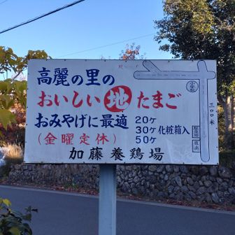 今日は無理かなぁ