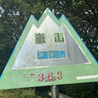 むかし富田西小学校の遠足では平野山と言ったそう⛰️