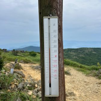 19度