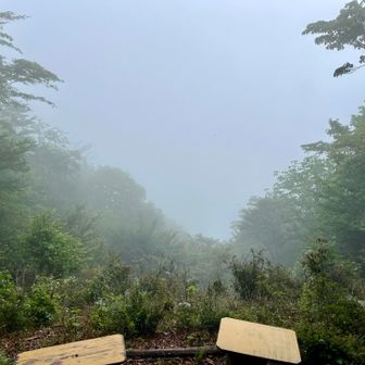 富士山の眺望も次回