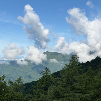 相変わらず飛龍山は雲に隠れている。向こうは明るいので雨は降らないかも。