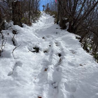 山頂手前は雪が増える。トレースあり。