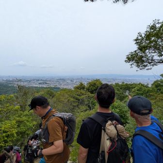 大阪平野バッチリ