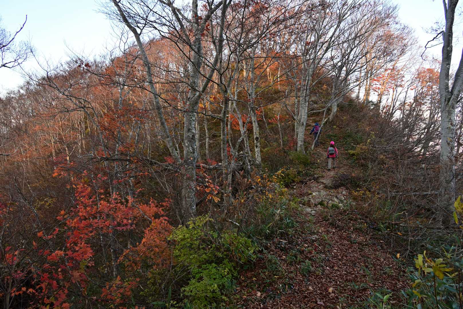 やっぱり宇奈月尾根はステキ🍁