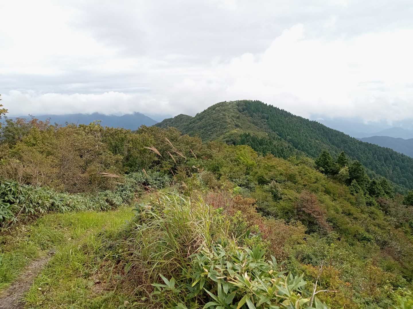 井水山-中央峰-泉山 往復コースの写真
