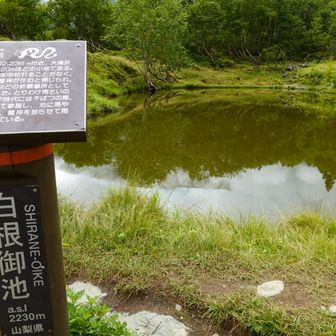 白根御池（しらねおいけ）。ここから草スベリコースを登る