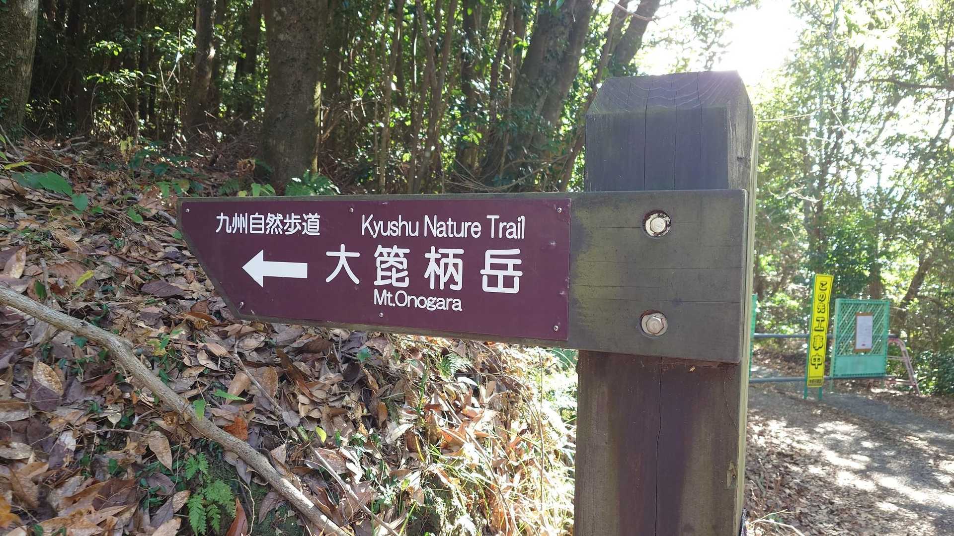 垂桜コース登山口-大箆柄岳 往復コースの写真
