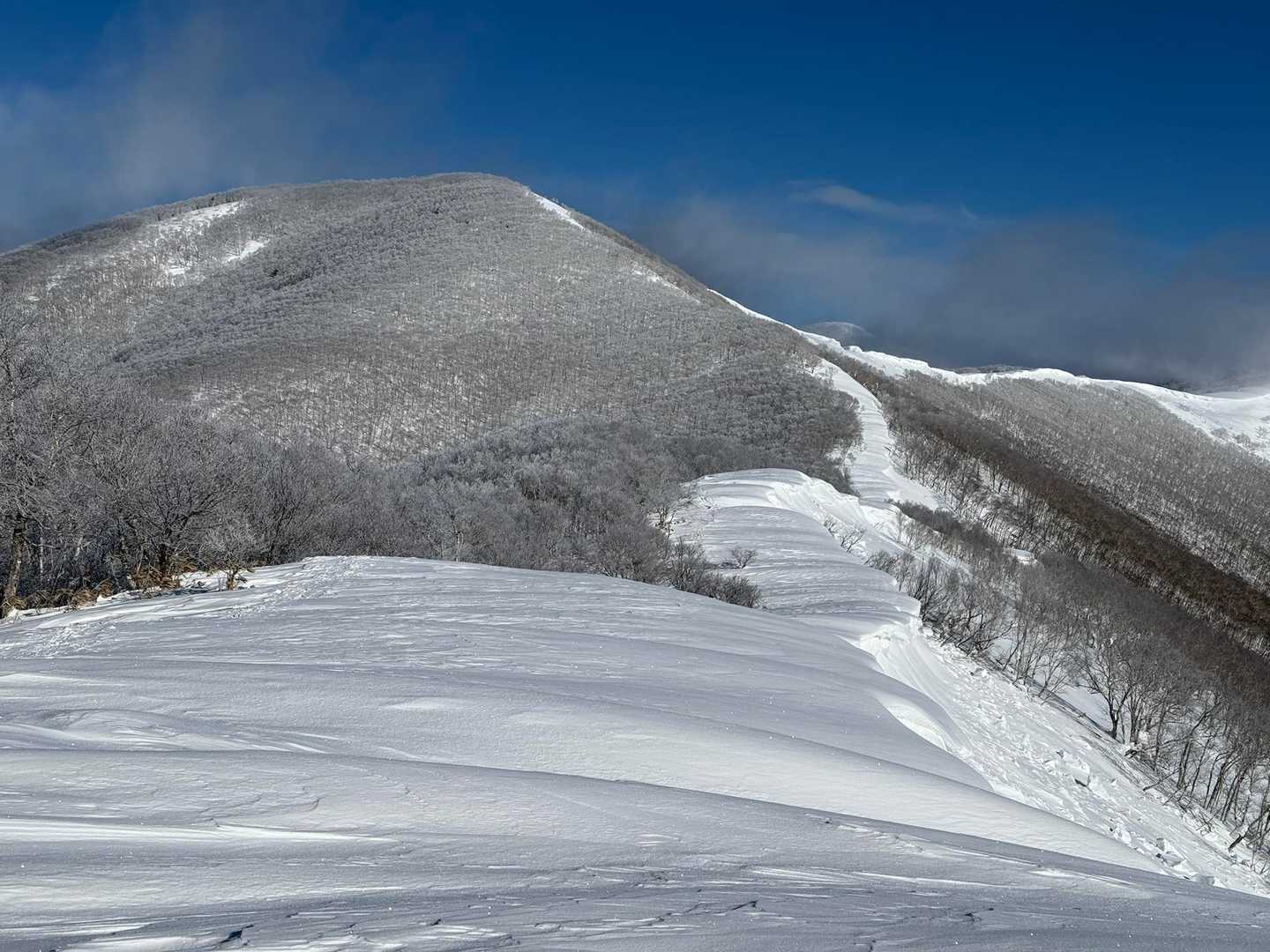 佐幌岳登山口-桜山 往復コースの写真