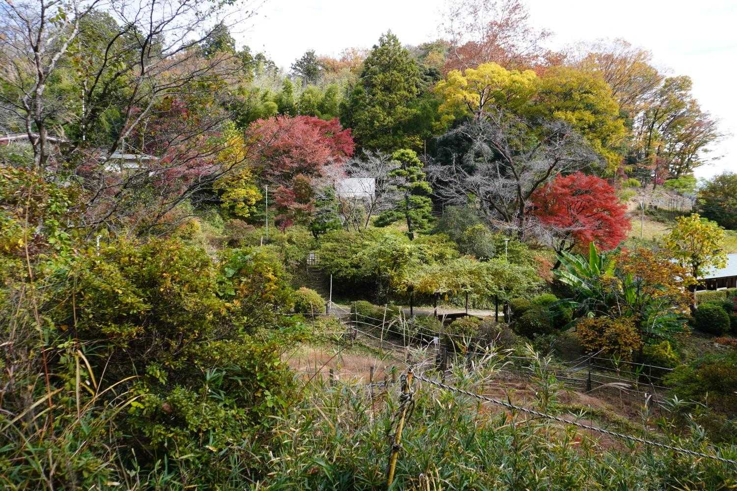 お疲れ山でした