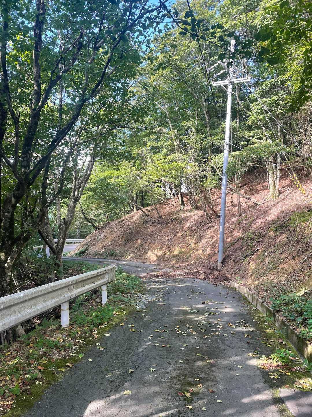 少し下りると舗装道路に
このあとはずっとこの道路の下りで軽くランニングして下りました🏃🏻