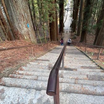 すげー階段。何段あるか数えていたが途中であきらめました。中社は60段くらいだったような気がします。
