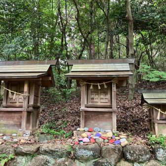 よろしくお願いします🙏