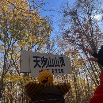 小樽天狗山ー!!
カボ美の目がぁぁああ！！！