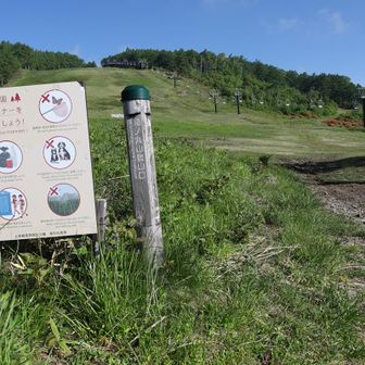登山道はスキー場のゲレンデです。