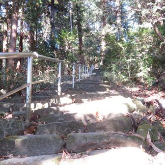 最後は手すりをつかんでよじ登る