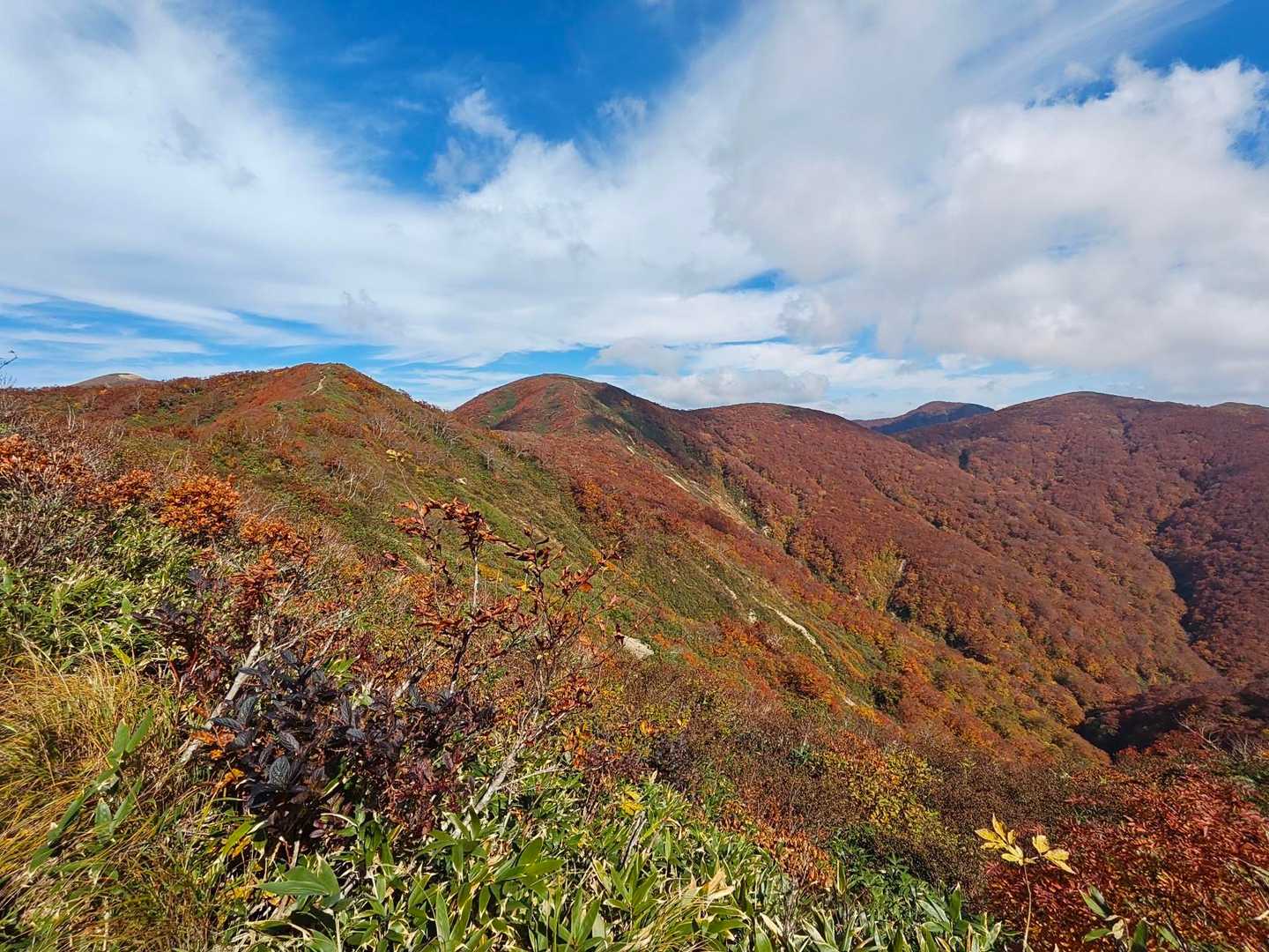 今年は日照時間が短くて紅葉が全国的に遅いようですが、ここは関係なさそう🍁