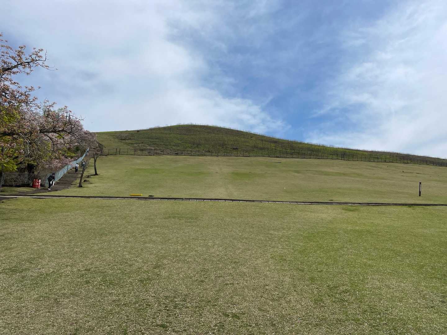 若草山 周回コースの写真