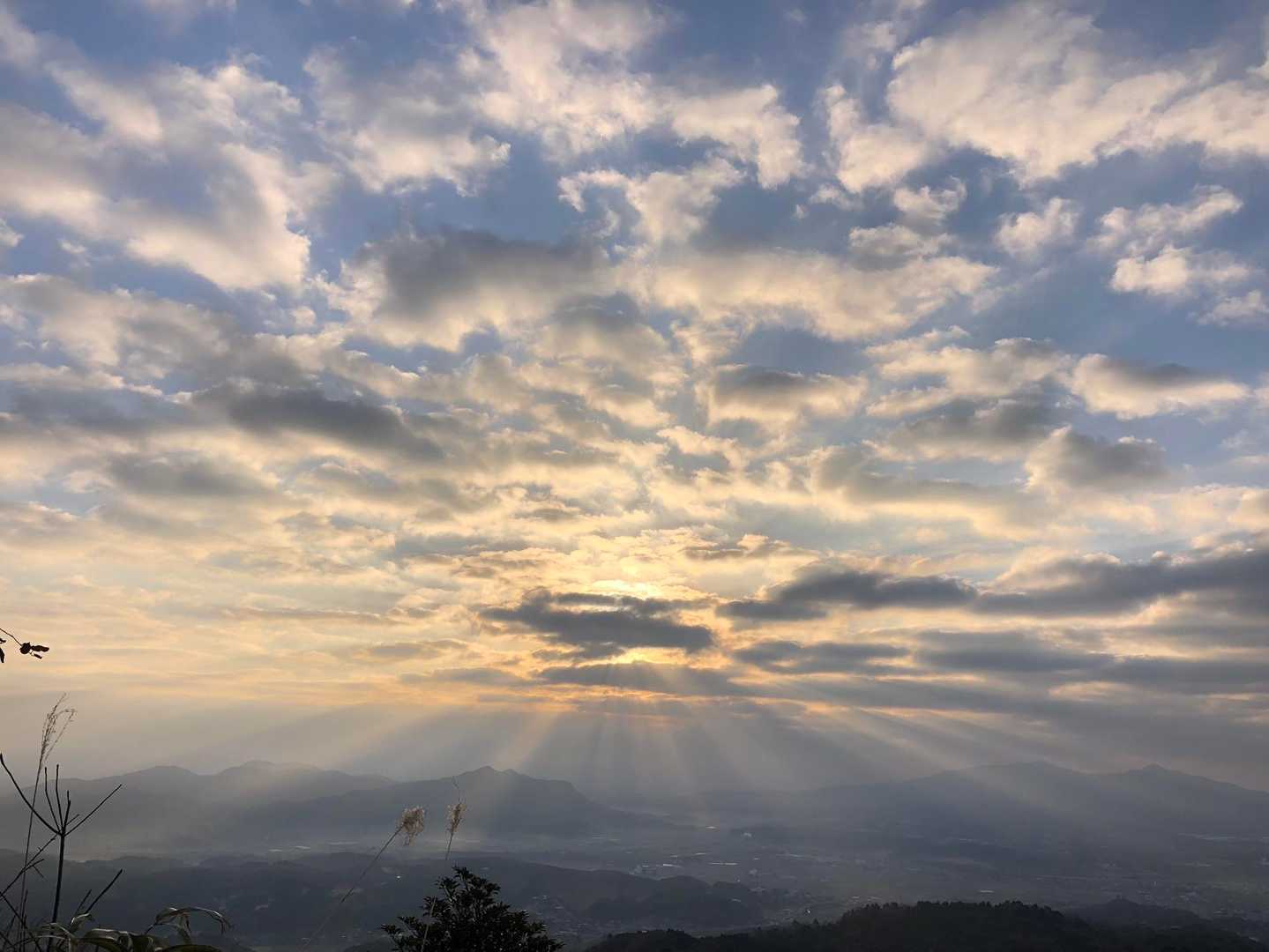 丸山キャンプ場登山口-丸山 往復コースの写真